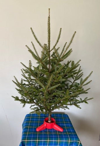 Tabletop Tree